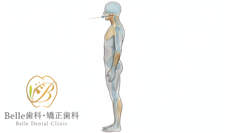 矯正で肩こりが楽になる？噛み合わせと姿勢の関係を解説